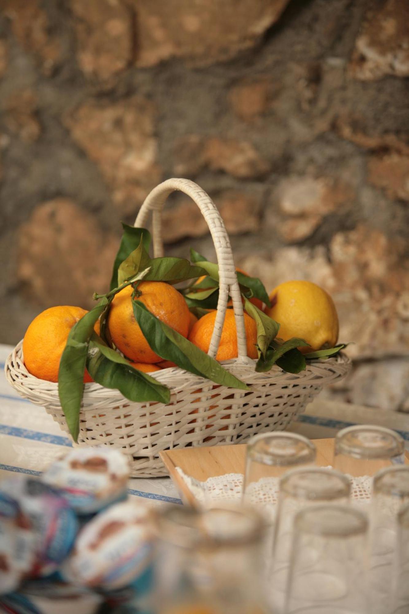 L' Arancio In Fiore Sant'Agnello Esterno foto