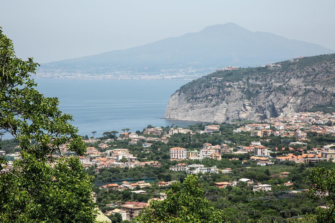 L' Arancio In Fiore Sant'Agnello Esterno foto