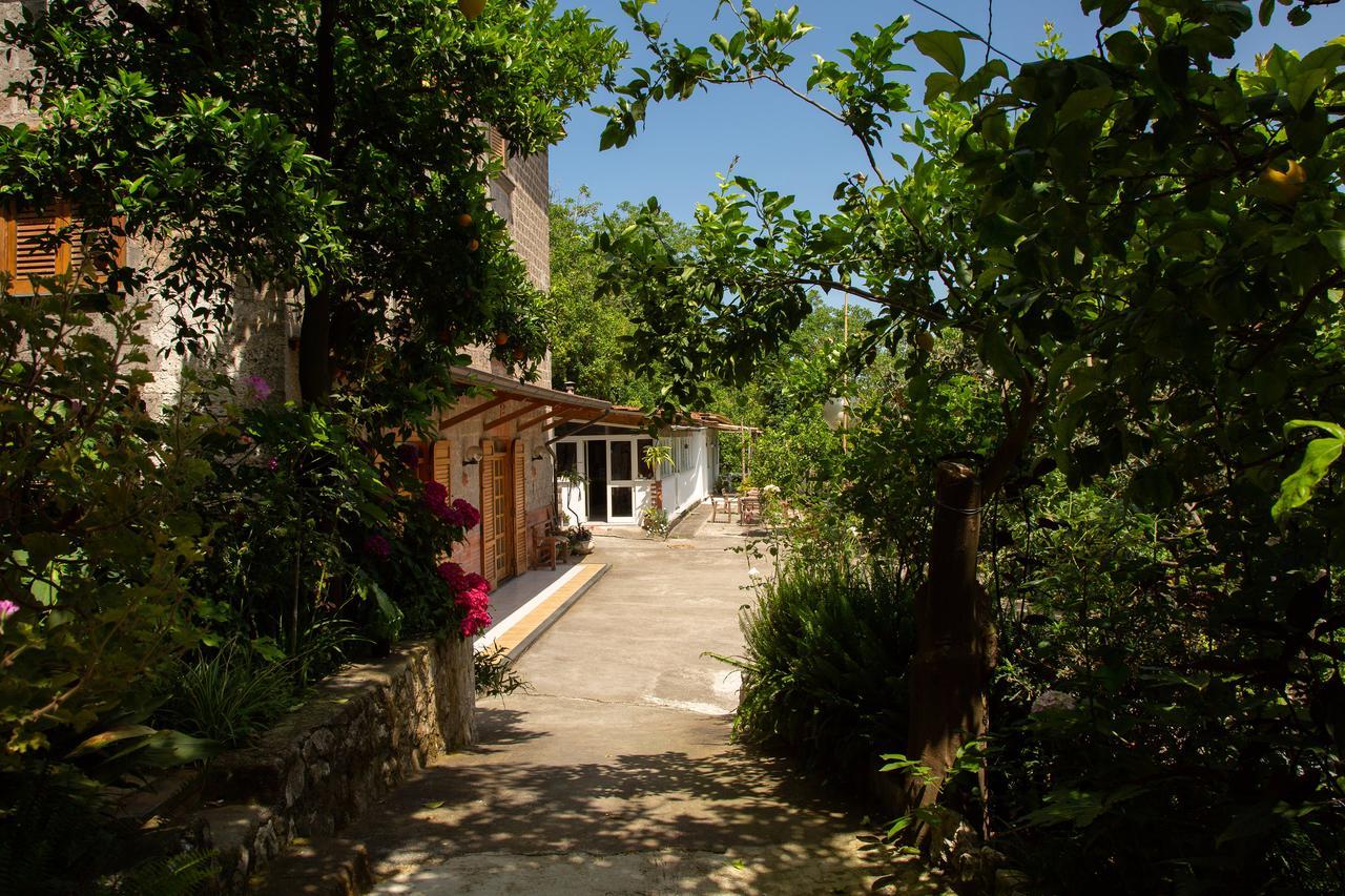 L' Arancio In Fiore Sant'Agnello Esterno foto