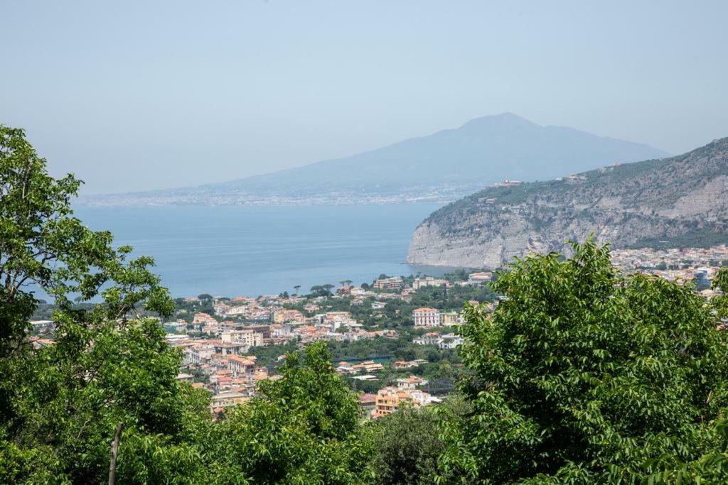 L' Arancio In Fiore Sant'Agnello Esterno foto