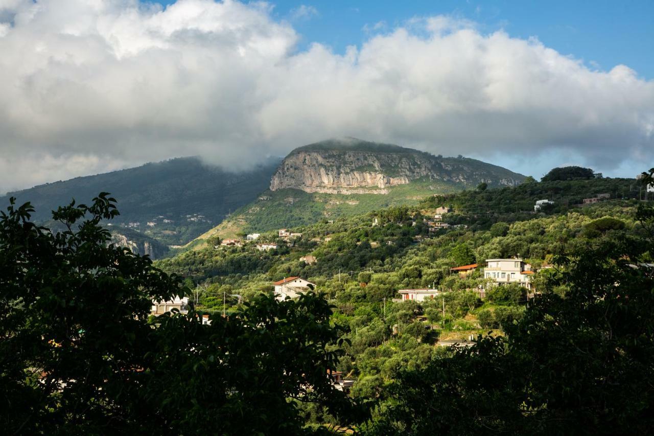 L' Arancio In Fiore Sant'Agnello Esterno foto